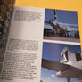AMERICAN WarBirds