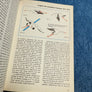 Les avions 1/ des origines à la Première Guerre mondiale