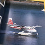 BUSH FLYING