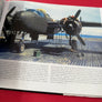 WW II PACIFIC WAR EAGLES — China/Pacific Aerial Conflict in ORIGINAL COLOR —