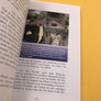 JING & CHEN — Die Ballade der Taikonauten von Shenzhou-11 —