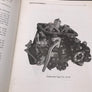 Le Carburateur à Injection " ZÉNITH - STROMBERG " du service T.DOC de la SABENA