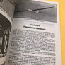 A CONSTRUÇÃO AERONÁUTICA NO BRASIL 1910/1976