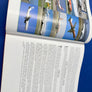 Leisure Airlines of Europe