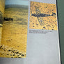 GERMAN AIRCRAFT OF WORLD WAR II WITH COLOUR PHOTOGRAPHS