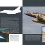 Dassault Mirage 2000, Flying with Air Forces around the World