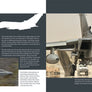 Panavia Tornado, Flying in the RAF, German, Italian and Saoudi Air Forces