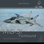 MiG-31 Foxhound, Flying with Russian Air Force
