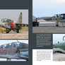 Sukhoi Su-25 Frogfoot, Flying with Air Forces around the World