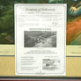 DOOLITTLE'S D-DAY — Robert Taylor — Signed Limited Edition 241/500 — Lithograph — Framed