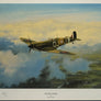 SPITFIRE SORTIE — Robert Taylor — Numbered Limited Edition 33/350 — Framed