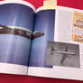 Classic AMERICAN AIRLINERS