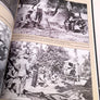 362nd Fighter Group – dans la bataille de Normandie