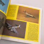 PAINTING AND DETAILING MODEL AIRCRAFT (FOCUS ON MODELLING TECHNIQUES, NO. 2)