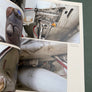 THE DOUGLAS A-4 SKYHAWK — MDF (31) SKYHAWK —