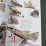 THE DOUGLAS A-4 SKYHAWK — MDF (31) SKYHAWK —