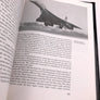 DIAMONDS IN THE SKY A Social History of Air Travel