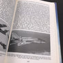 English Electric Aircraft and their Predecessors
