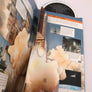 Journey into space a giant pop-up, fold-out book to read and display !