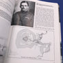 NIGHT FIGHTER – A Concise History of Nightfighting Since 1914