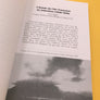 L'Armée de l'Air en Indochine