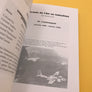 L'Armée de l'Air en Indochine