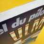 manuel du pilote ULM
