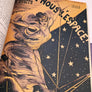 HISTOIRE DES HOMMES VOLANTS