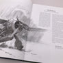 PERINOTTO – ARTBOOK #4