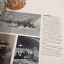 PEDIGREE OF CHAMPIONS Boeing Since 1916 (SIXTH EDITION 1985)