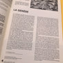 F-104G HISTOIRE DU LOCKHEED STARFIGHTER EN SERVICE A L’OTAN