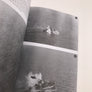COMBAT OVER THE MEDITERRANEAN – THE RAF IN ACTION AGAINST THE GERMANS AND ITALIANS THROUGH RARE ARCHIVE PHOTOGRAPHS