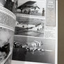 BEAUFIGHTER SQUADRONS IN FOCUS