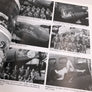 VINTAGE AIRCRAFT Nose Art – Hard’ to Get