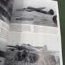 Blitzkrieg in the West 1939-1942 — LUFTWAFFE AT WAR —