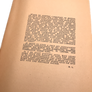 PILOTES SANS VISA