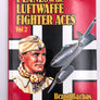 PLANES of the LUFTWAFFE FIGHTER ACES (Vol 2)