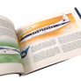 Book of Airlines / Handbuch der Fluglinien / Guide des lignes aériennes / Libro de lineas aéreas *** TOP OFFER ***