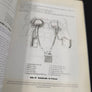 JUNKERS Ju 88 — Volume One — From Schnellbomber to Multi-Mission Warplane — (N°23 CLASSIC)