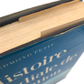 HISTOIRE MONDIALE DE L'AVIATION