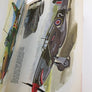 Blandford Colour Series – Famous Aircraft of all Time