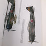 Japanese WWII Aircraft in Colour (Volume 1)