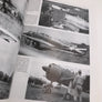 EMBLEMS OF THE RISING SUN – IMPERIAL JAPANESE ARMY AIR FORCE UNIT MARKINGS