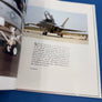 STINGERS — The McDonnell Douglas F/A-18 — FOREWORD BY F/A-18 CHIEF TEST PILOT JACK RINGS