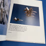 STINGERS — The McDonnell Douglas F/A-18 — FOREWORD BY F/A-18 CHIEF TEST PILOT JACK RINGS