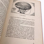 L'Envol de l'Homme - Histoire de l'Aéronautique
