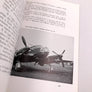LO STEMMA DELL'AERONAUTICA MILITARE (stemmi dell'Aeronautica Militare italiana ( prima metà del XX secolo ))