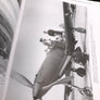 Regia Aeoronautica – The Italian Air Force 1923-1945 – An Operational History