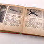 THE DUMPY BOOK OF AIR FORCES IN THE WORLD