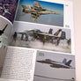 THE BOEING F/A – 18E/F – SUPER HORNET and EA – 18G Growler — MDF (7) SCLALED DOWN —
